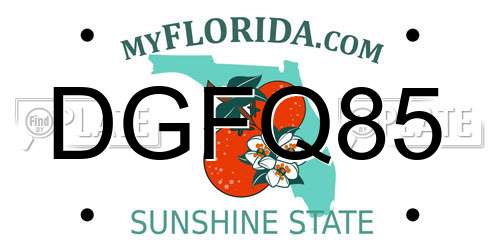 DGFQ85 Florida License Plate