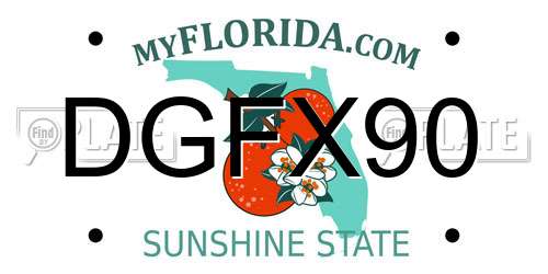 DGFX90 Florida License Plate