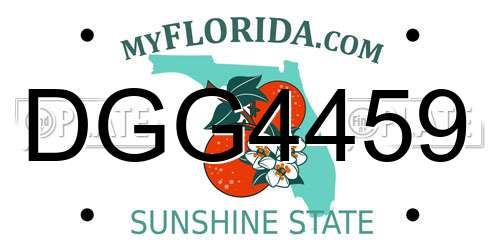 DGG4459 Florida License Plate