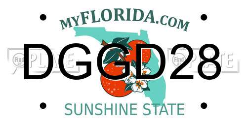 DGGD28 Florida License Plate