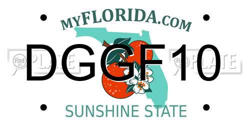 DGGF10 Florida License Plate