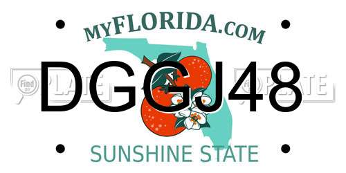 DGGJ48 Florida License Plate