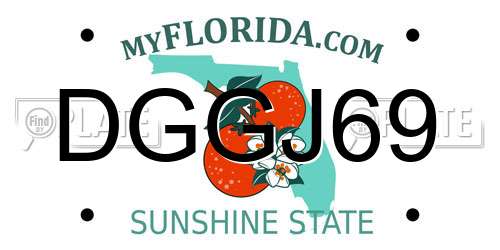 DGGJ69 Florida License Plate