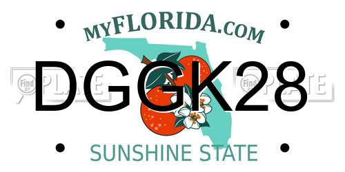 DGGK28 Florida License Plate