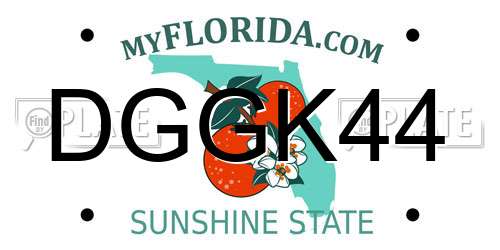 DGGK44 Florida License Plate