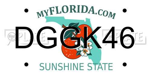 DGGK46 Florida License Plate