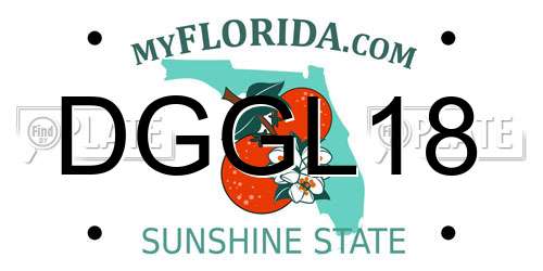DGGL18 Florida License Plate