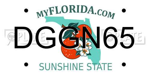 DGGN65 Florida License Plate