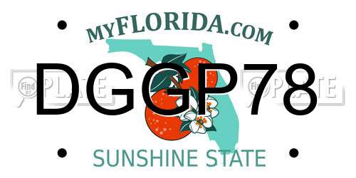 DGGP78 Florida License Plate