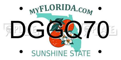 DGGQ70 Florida License Plate