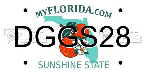 DGGS28 Florida License Plate