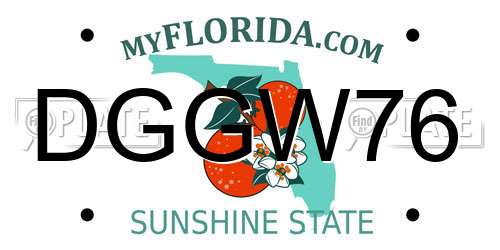 DGGW76 Florida License Plate