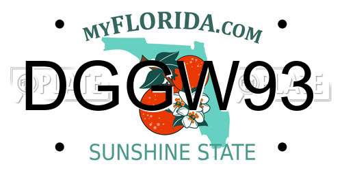 DGGW93 Florida License Plate