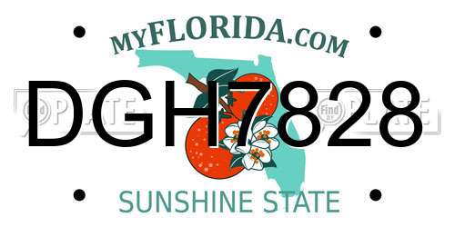 DGH7828 Florida License Plate