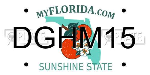 DGHM15 Florida License Plate