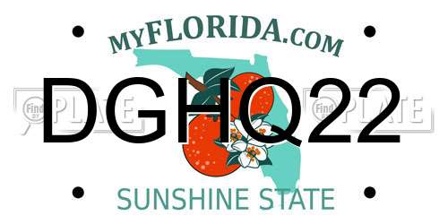 DGHQ22 Florida License Plate
