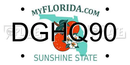 DGHQ90 Florida License Plate