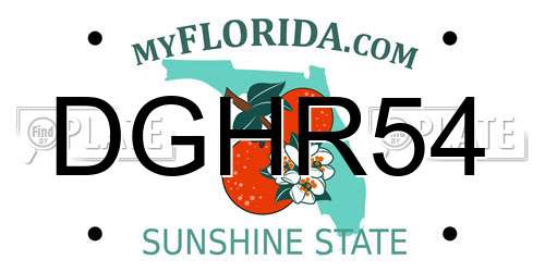 DGHR54 Florida License Plate