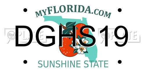 DGHS19 Florida License Plate