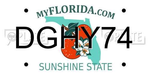 DGHY74 Florida License Plate