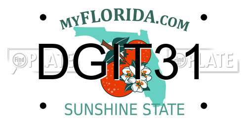 DGIT31 Florida License Plate