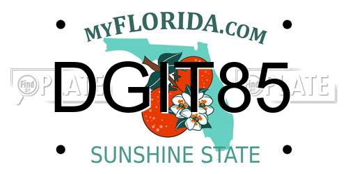 DGIT85 Florida License Plate