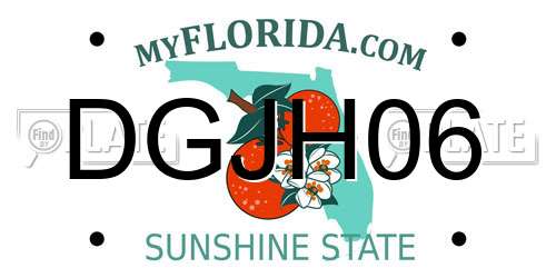 DGJH06 Florida License Plate