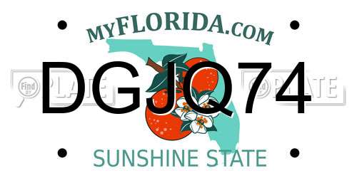 DGJQ74 Florida License Plate