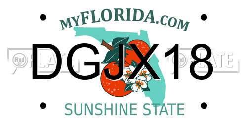 DGJX18 Florida License Plate