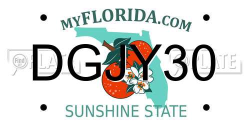 DGJY30 Florida License Plate