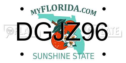 DGJZ96 Florida License Plate