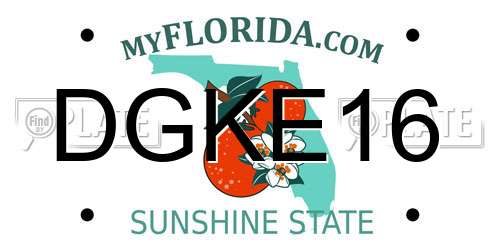 DGKE16 Florida License Plate