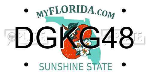 DGKG48 Florida License Plate