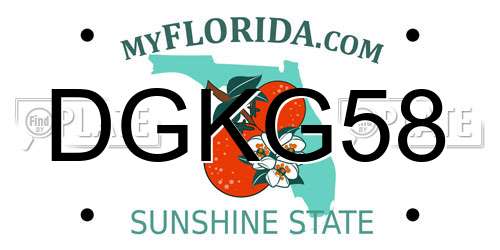 DGKG58 Florida License Plate