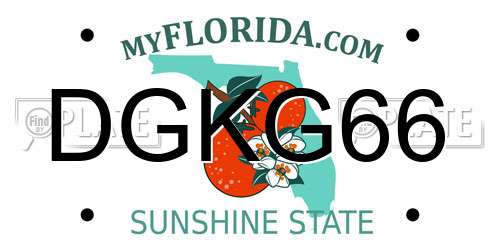 DGKG66 Florida License Plate
