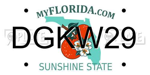 DGKW29 Florida License Plate