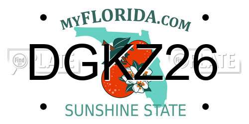 DGKZ26 Florida License Plate