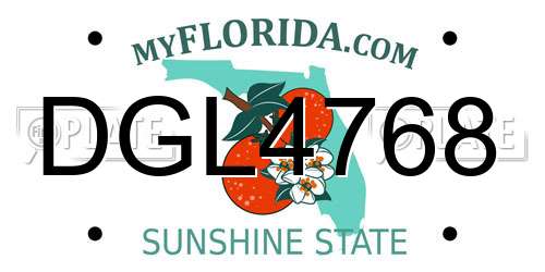 DGL4768 Florida License Plate