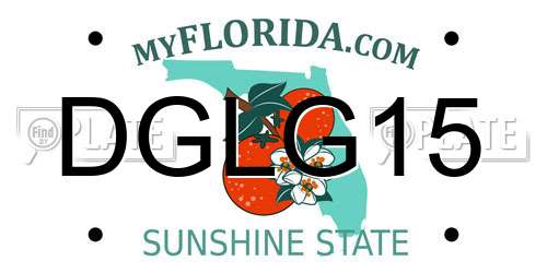 DGLG15 Florida License Plate