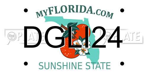 DGLI24 Florida License Plate