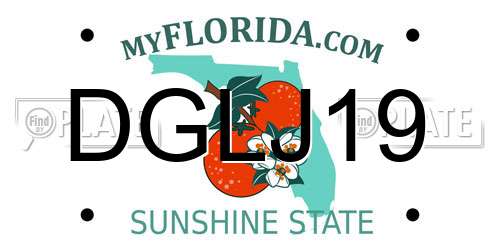 DGLJ19 Florida License Plate