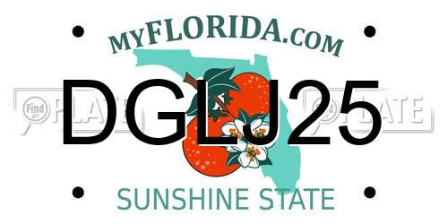 DGLJ25 Florida License Plate
