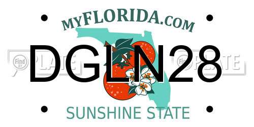 DGLN28 Florida License Plate