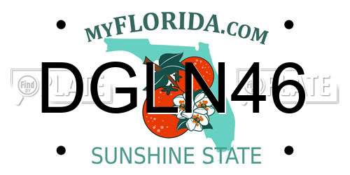 DGLN46 Florida License Plate
