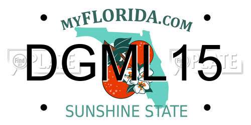 DGML15 Florida License Plate