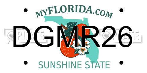 DGMR26 Florida License Plate
