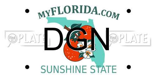 DGN Florida License Plate