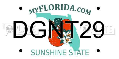 DGNT29 Florida License Plate