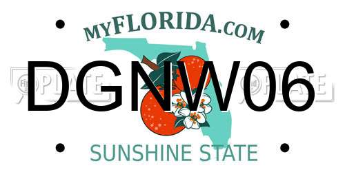 DGNW06 Florida License Plate