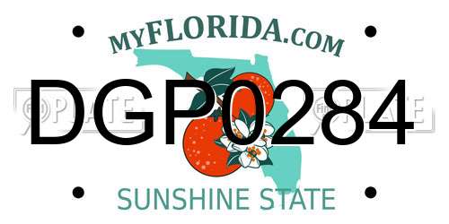 DGP0284 Florida License Plate